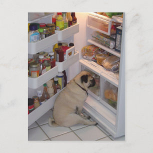 Howie Pee Pugpants Postkarte