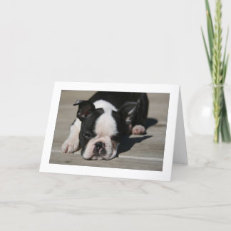 Howie Schellfische Karte