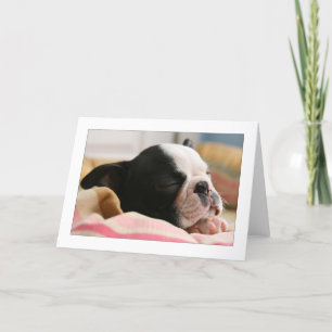 Howie Sleeping Karte