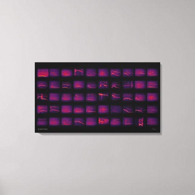 Howl: Die geheime Sprache der Wölfe Leinwanddruck (Vorderseite)