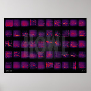 Howl: Die geheime Sprache der Wölfe Poster