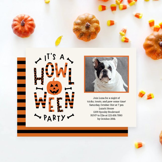 Howl-O-Ween Hund Halloween-Party Einladung (Von Creator hochgeladen)