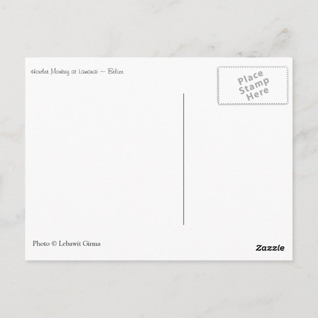 Howler Monkey, Belize Postkarte (Rückseite)