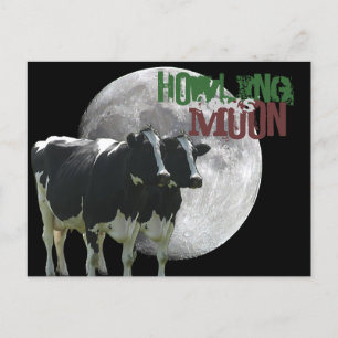 Howling Cows Moon Postkarte
