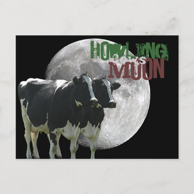 Howling Cows Moon Postkarte (Vorderseite)