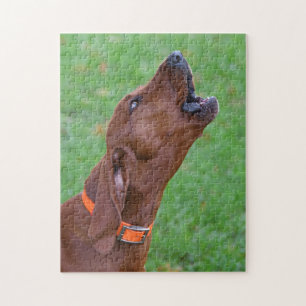 Howling Redbone Coonhound Jagdhund Puzzle
