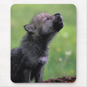 Howling Wolf Cub Mousepad