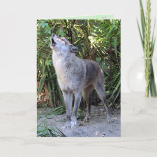 Howling Wolf Geburtstagskarte Karte