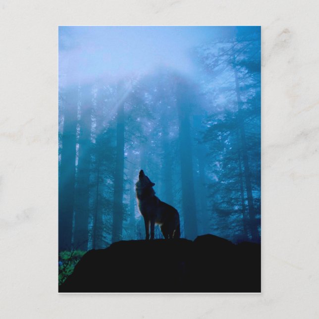 Howling Wolf in der Wildnis Postkarte (Vorderseite)
