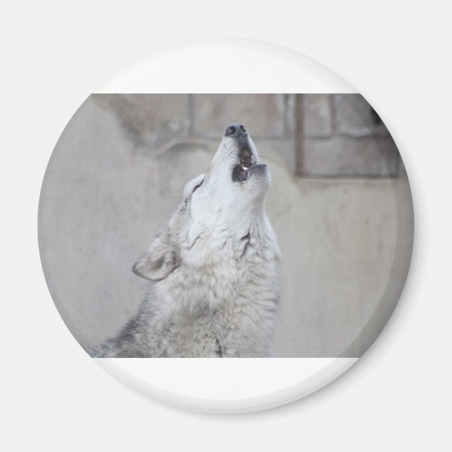 Howling Wolf Magnet (Vorne)