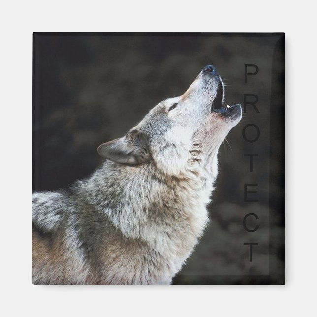 Howling Wolf Magnet (Vorne)
