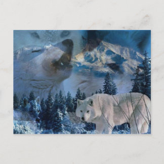 Howling Wolf Pack Postkarte