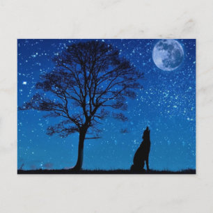 Howling Wolf Postcard Postkarte