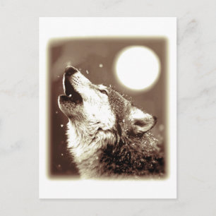 Howling Wolf Postkarte