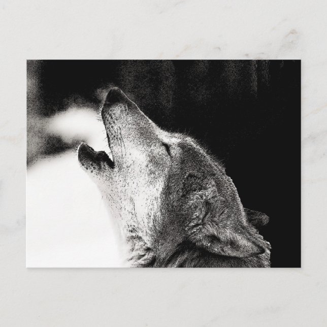 Howling Wolf Postkarte (Vorderseite)