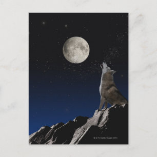 Howling Wolf Postkarte