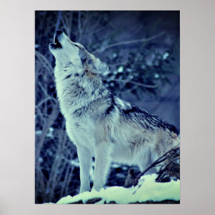 Howling Wolf Winterwald Poster