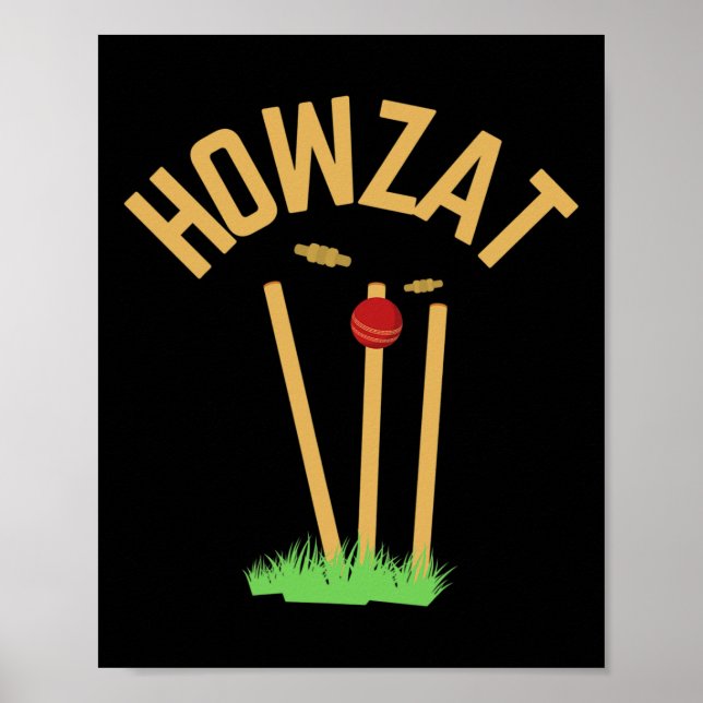 Howzat Cricket Fan Wicked Bowled Gift Tsman Bowler Poster (Vorne)
