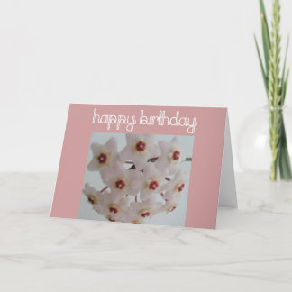 Hoya Blume Birthday Karte