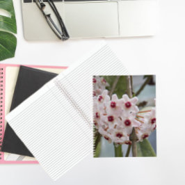 Hoya Pflanze Blume BlumenNotebook Notizbuch