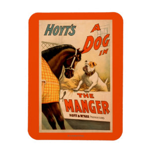 Hoyt ist ein Hund im Magiertheater-Poster Magnet