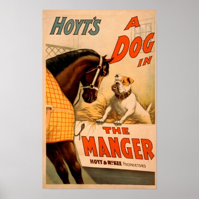 Hoyt ist ein Hund im Magiertheater-Poster Poster (Vorne)
