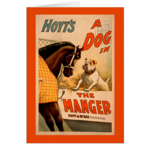 Hoyts Ein Hund in der Futterkrippe Theaterplakat