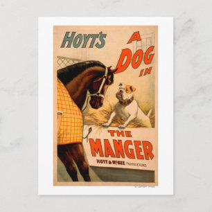 Hoyts Theaterplakat Ein Hund im Futtertrog Feiertagspostkarte