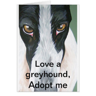 HPIM0059, Liebe ein Windhund, adoptieren mich