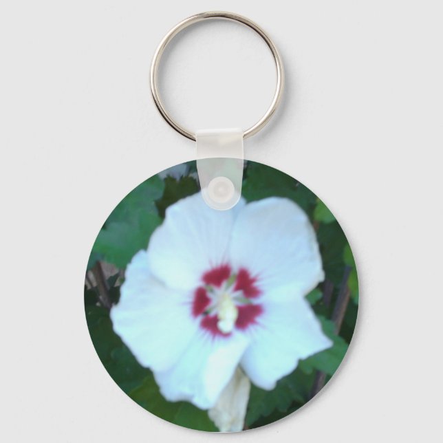 HPIM0580 SCHLÜSSELANHÄNGER (Vorderseite)