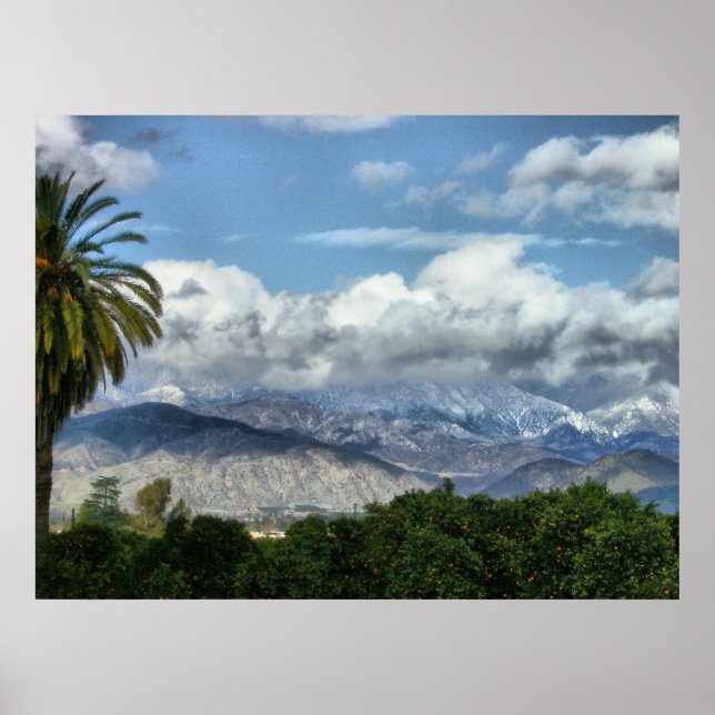 HPIM3850_fhdr Poster (Vorne)