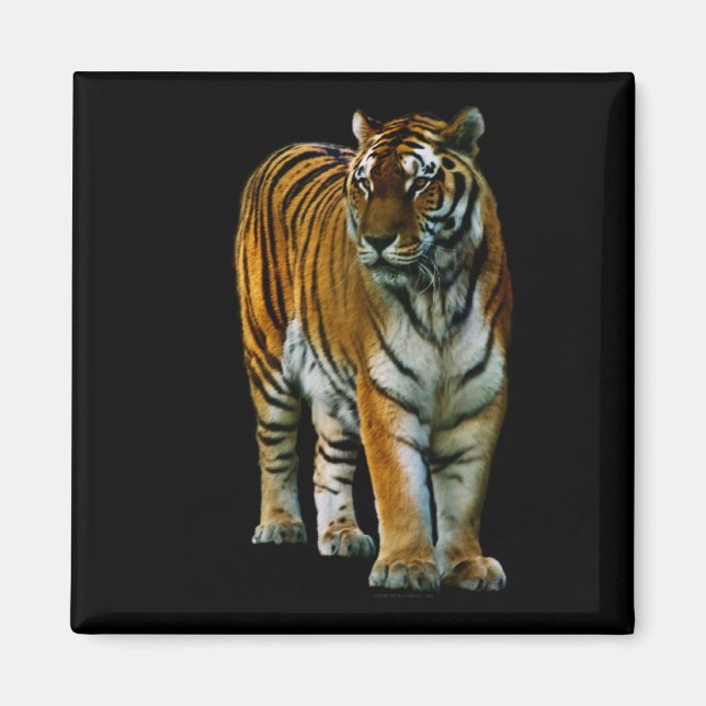 Hu Lin Magnet (Vorne)