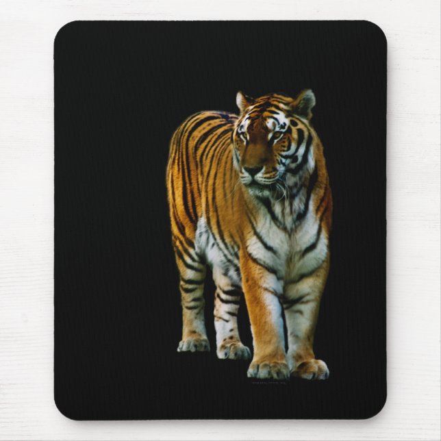Hu Lin Mousepad (Vorne)