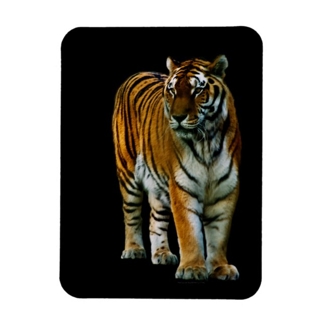 Hu Lin Premium Magnet (Vertikal)