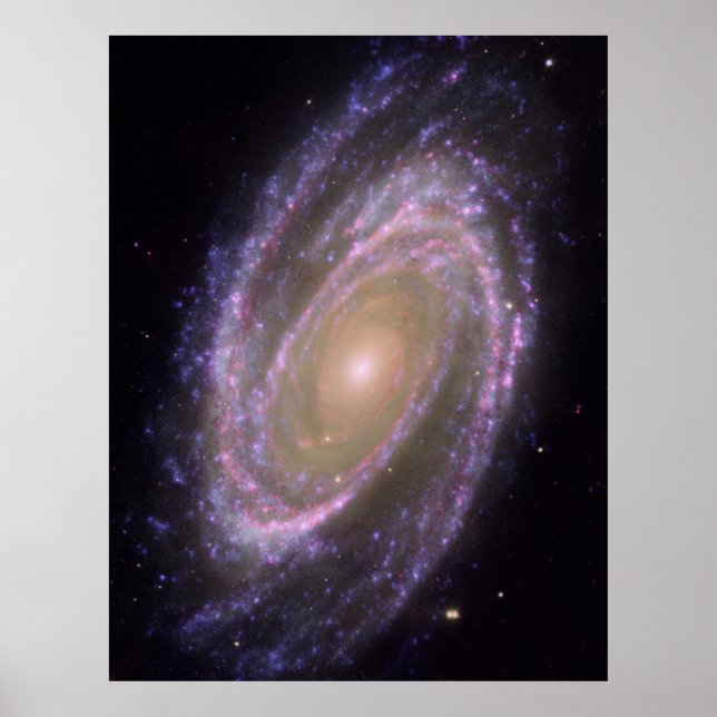 Hubble - Galex - Spitzer Composite Image of M81 Poster (Vorne)