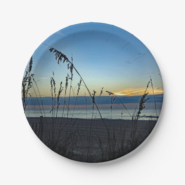 Hübsch Beach Grass Sunrise Foto Pappteller (Vorderseite)