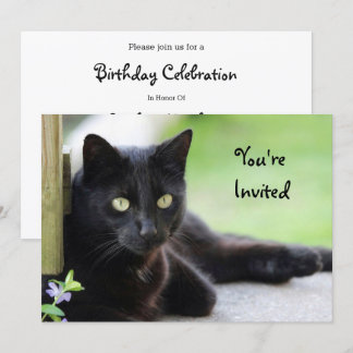 Hübsch Black Cat Foto Geburtstag Einladung