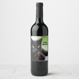Hübsch Black Cat Foto Geburtstag Weinetikett
