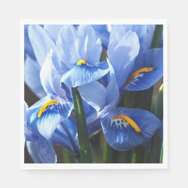 Hübsch-blaue Iris-Serviette Serviette (Vorderseite)