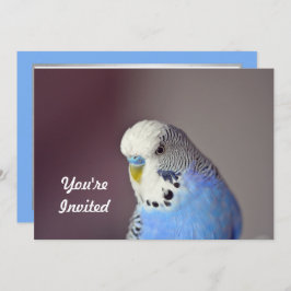 Hübsch Blue Budgie Foto Geburtstag Einladung