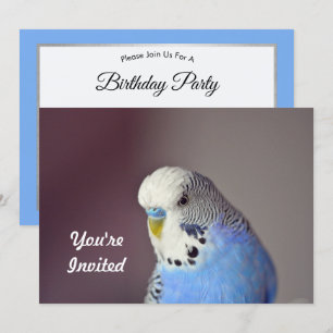 Hübsch Blue Budgie Foto Geburtstag Einladung