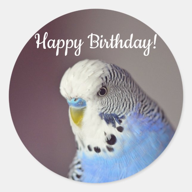 Hübsch Blue Budgie Foto Geburtstag Runder Aufkleber (Vorderseite)