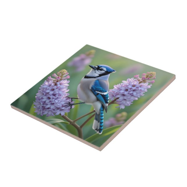 Hübsch Blue Jay Stehend auf Lilac Branchen Fliese (Seite)