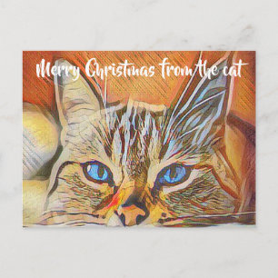 Hübsch Blue Mit Augen Cat Art Frohe Weihnachtsgrüß Postkarte