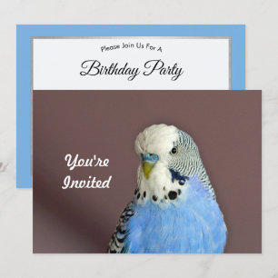 Hübsch Blue Parakeet Foto Geburtstag Einladung