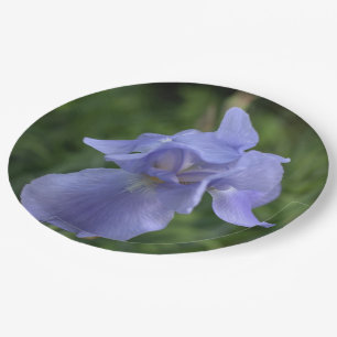 Hübsch Blue Periwinkle Iris Blume Pappteller