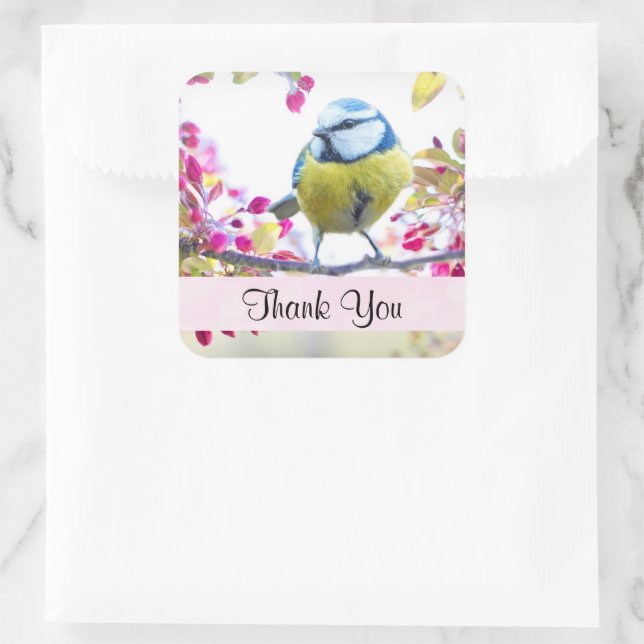 Hübsch Blue & Yellow Bird auf einer Zweigstelle Vi Quadratischer Aufkleber (Tasche)