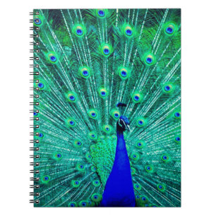Hübsch BlueTeal Peacock Vogel Modernes Trendmuster Notizblock
