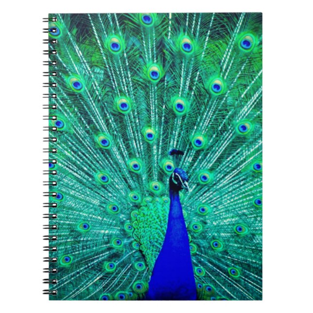 Hübsch BlueTeal Peacock Vogel Modernes Trendmuster Notizblock (Vorderseite)