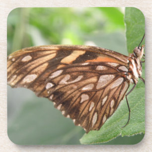 Hübsch Brown Butterfly Cork Untersetzer